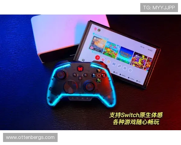 爱游戏官方商城上线丰富游戏周边商品,满足玩家多样化的个性化需求